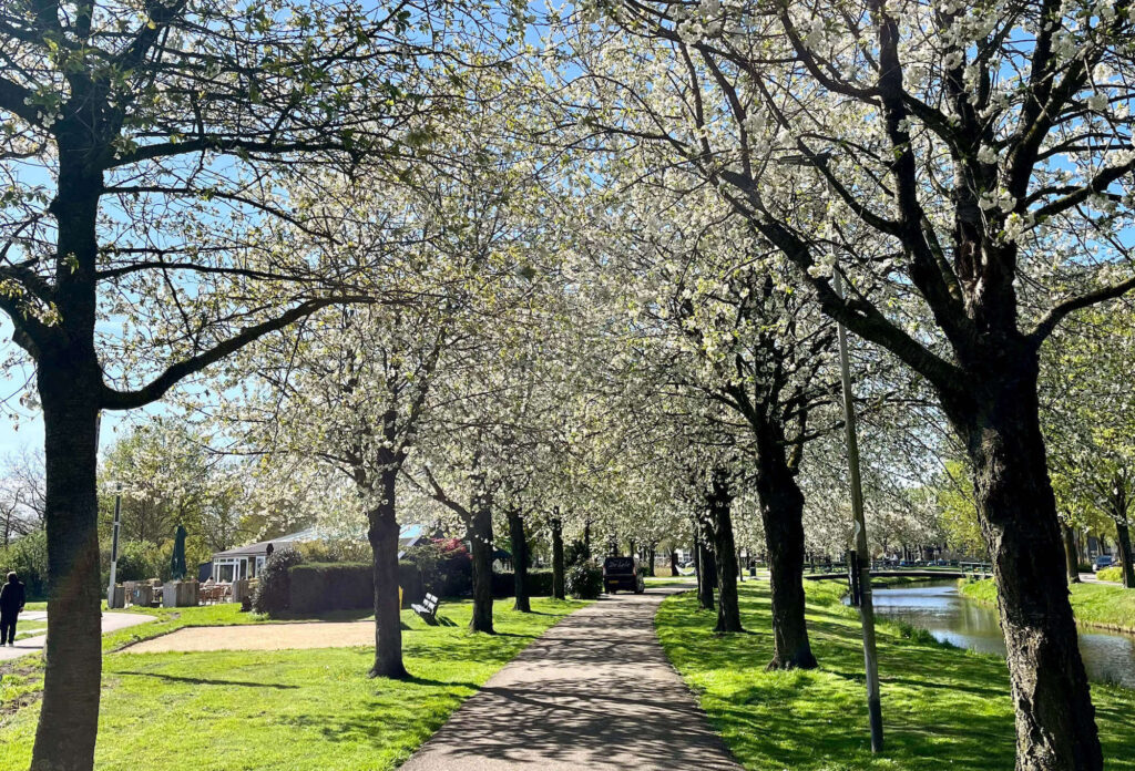 Karin Leeuwenhoek Loopgenoot Wandelcoaching Amsterdam Alphen aan den Rijn