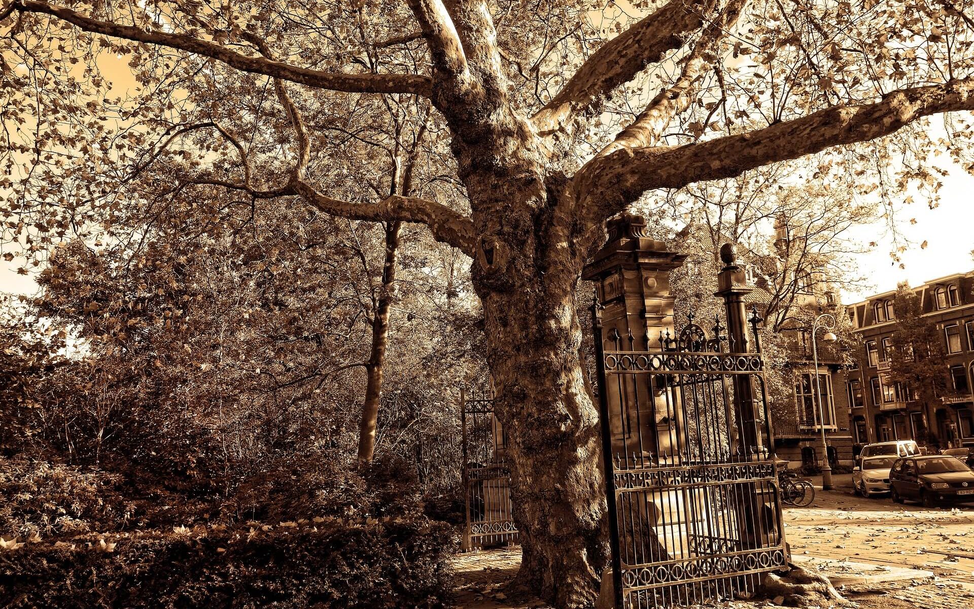 Karin Leeuwenhoek Loopgenoot Wandelcoaching Amsterdam Alphen aan den Rijn